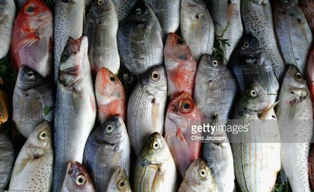 Image du poisson