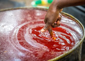 Huile de palme brute: La solution des importations n&rsquo;est pas la solution