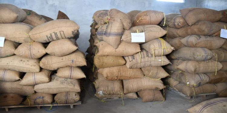 ventes groupées de cacao