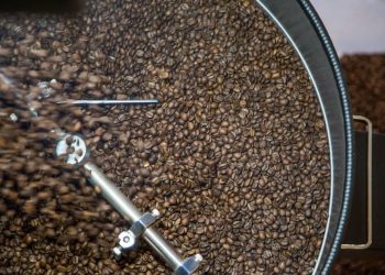 Filière Café:La ville de Yaoundé abrite la première édition du Coffee Meet Cameroon