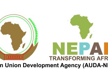 Atelier AU/NEPAD