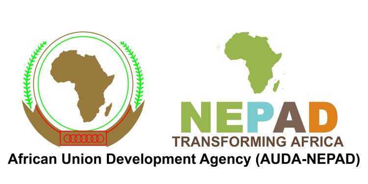 Atelier AU/NEPAD