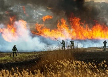 climate,environment,crises in Central Africa