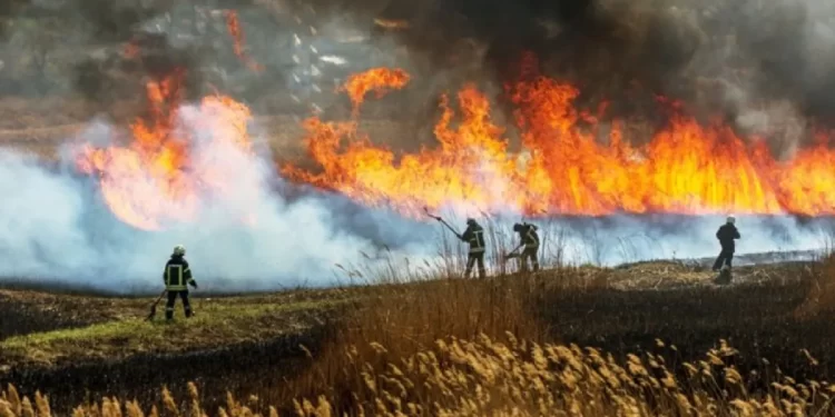 climate,environment,crises in Central Africa