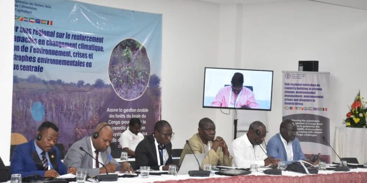Changement climatique:Le Bassin du Congo en proie aux défis liés aux crises et catastrophes environnementales