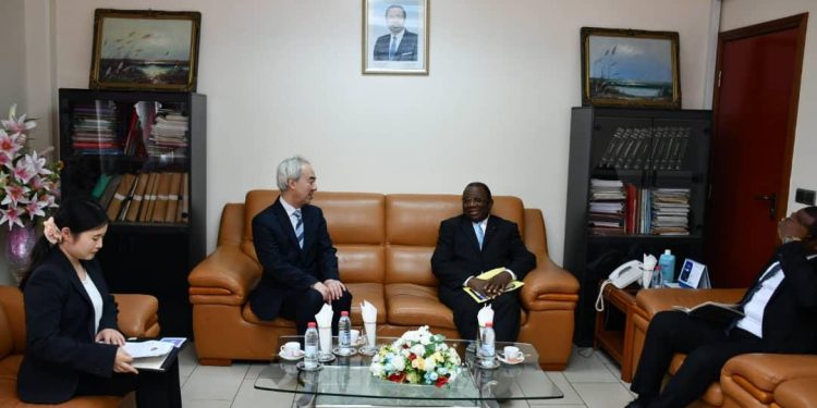 Cameroun/Japon