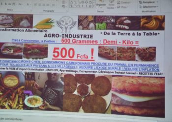 « De la Terre à la Table »: Un projet qui ambitionne de sortir le Cameroun de l’autosuffisance alimentaire,et de la Sécurité alimentaire