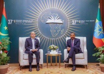 Sommet de l&rsquo;Union Africaine: La Conférence des Chefs d&rsquo;Etat appelle à la création de deux Etats: Palestinien et Israélien