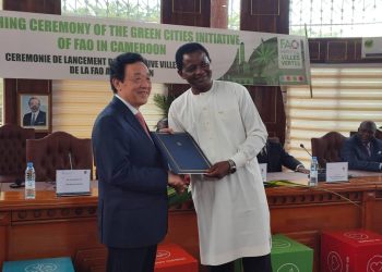 Cameroun:Protection de la biodiversité: L&rsquo;Initiative Villes vertes de la FAO au Cameroun se concrétise