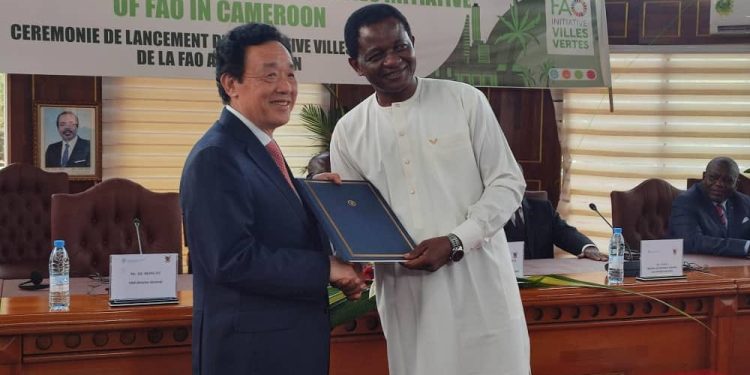 Cameroun:Protection de la biodiversité: L’Initiative Villes vertes de la FAO au Cameroun se concrétise