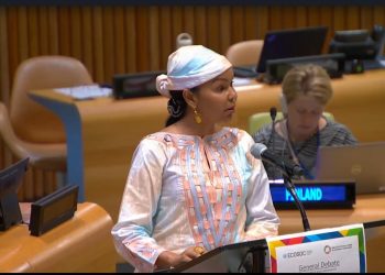 Tchad/Forum Politique des Nations Unies:Mme Fatima Haram Acyl souligne les progrès du Tchad dans l&rsquo;examen  national volontaire