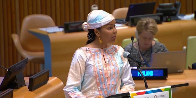 Tchad/Forum Politique des Nations Unies:Mme Fatima Haram Acyl souligne les progrès du Tchad dans l’examen national volontaire
