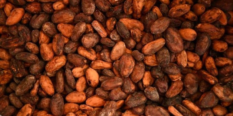feve de cacao