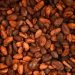 feve de cacao