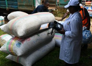 Cameroun/Commercialisation du Cacao à Ngat-Bane:Les producteurs invités  à sécuriser leurs moyens à travers les microfinances