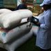 Cameroun/Commercialisation du Cacao à Ngat-Bane:Les producteurs invités  à sécuriser leurs moyens à travers les microfinances