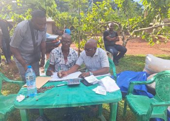 Cameroun/Cacao:La jeunesse de  Ngat-Bane  réitère sa  détermination à demeurer dans l’agriculture   