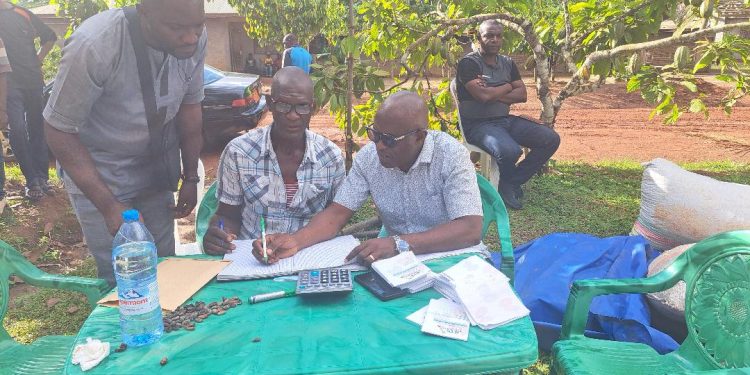 Cameroun/Cacao:La jeunesse de Ngat-Bane réitère sa détermination à demeurer dans l’agriculture