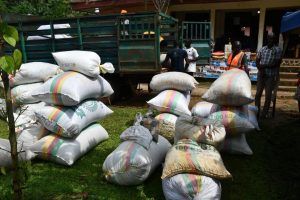 Cameroun/commercialisation du Cacao:Producteurs et acheteur s’approprient les ventes-groupées à Ngat -Bane
