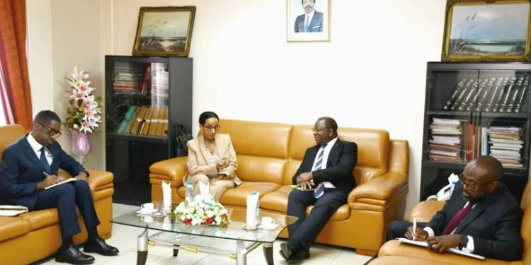 Coopération commerciale:L’Éthiopie propose de la farine de blé au Cameroun