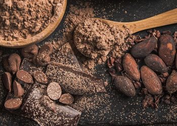 Transformation locale du Cacao/Suzanne Enyegue, la chocolatière camerounaise qui révolutionne le goût local
