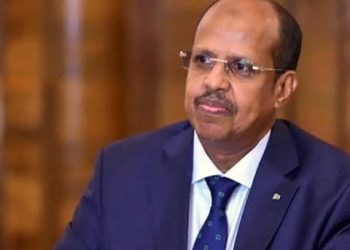 Commission de l’Union Africaine:H.E. Mahmoud Ali Youssouf, H.E. Ambassador Selma Malika Haddadi, and 4 Commissioners elected to leadership positions in the African Union Commission elections