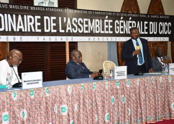 Cacao et Café:Le  Cameroun ambitionne de se maintenir au sommet de la pyramide
