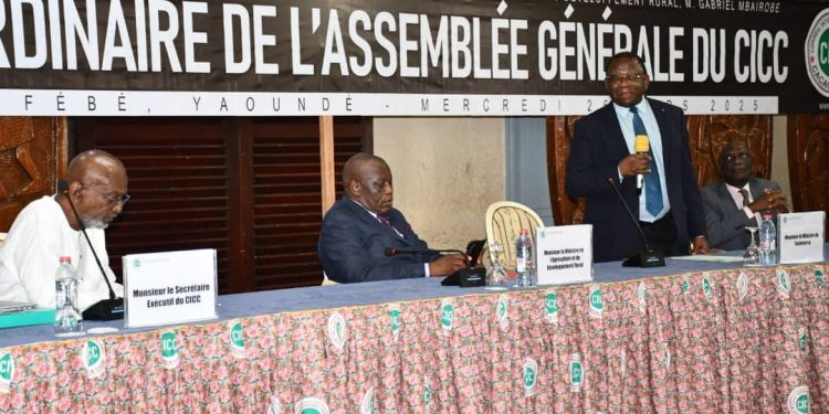 Cacao et Café:Le  Cameroun ambitionne de se maintenir au sommet de la pyramide