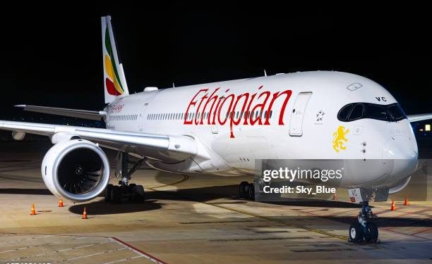 Éthiopie:Transport aérien/Un projet de construction du plus grand aéroport africain annoncé en Ethiopie