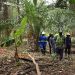 journée Internationale des Forets/Article d’opinion de M. Qu Dongyu, Directeur général de l’Organisation des Nations Unies pour l’alimentation et l’agriculture (FAO)