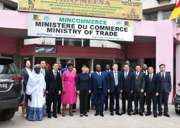 Chine-Cameroun