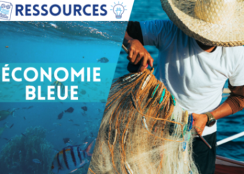 ecocomie bleue