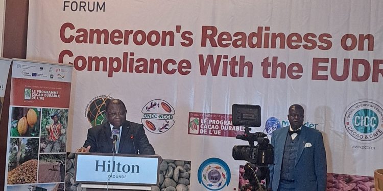 Cameroun/Règlement de l’UE contre la Déforestation:Le Cameroun est sur les starting  blocks, prêt à partir   
