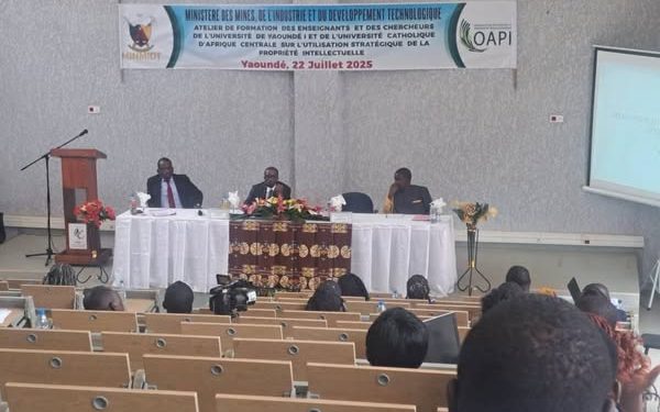 Cameroun:Propriété Intellectuelle:A peine 5% de la population sensibilisée sur les questions de Pi