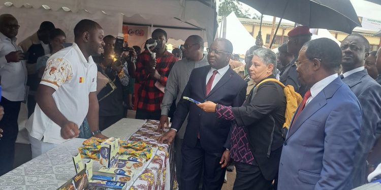 Cameroun/Campagne Cacaoyère 2025-2026:Bientôt le début des paiements des primes aux meilleurs producteurs