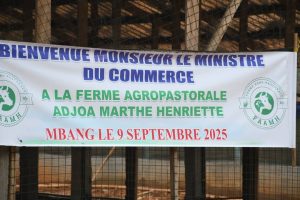 visite du Mincommerce à Ayos