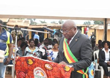 Cameroun:Cacaoculture:Relance de la Filière Cacao dans la Mefou et Afamba,Région du Centre