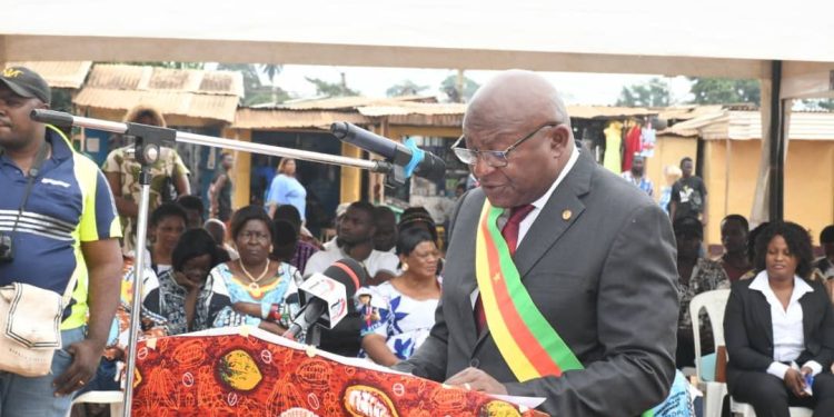 Cameroun:Cacaoculture:Relance de la Filière Cacao dans la Mefou et Afamba,Région du Centre