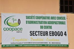 VISIE DE LA COOP-CA