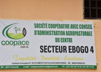 VISIE DE LA COOP-CA