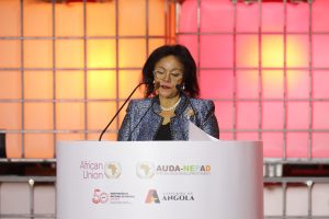 Allocution CEO AUDA -NEPAD