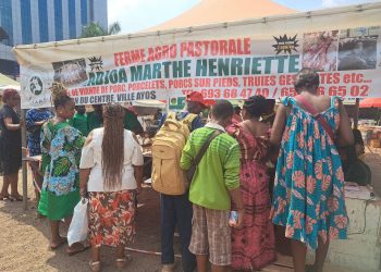 Cameroun:Fêtes de la Nativité et du Nouvel an/Du beau monde au  Boulevard du 20 mai de Yaoundé