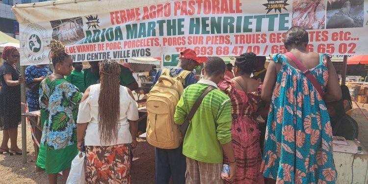Cameroun:Fêtes de la Nativité et du Nouvel an/Du beau monde au  Boulevard du 20 mai de Yaoundé