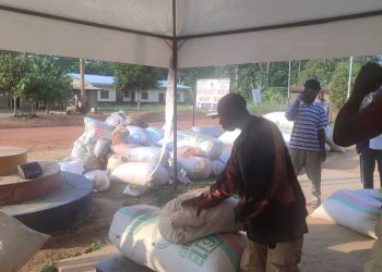 Cameroun/Filière Cacao:Bientôt la distribution des produits phytosanitaires  à Ngat-Bané  