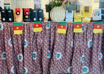 CAMEROUN-FILIERE CAFE/FAIRE CONNAITRE L &lsquo;EXCELLENCE DU PATRIMOINE DU CAFEIER CAMEROUNAIS A L &lsquo;INTERNATIONAL