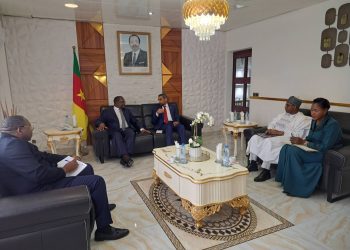 CAMEROUN-EMIRATS ARABES UNIS/Vers le renforcement des Investissements et du Commerce