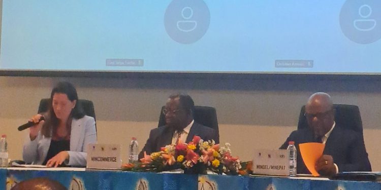 CAMEROUN-DEVELOPPEMENT DES CHAINES DE VALEUR AGRICOLES-MOBILISATION DES ACTEURS DE L&rsquo;ECONOMIE CE JOUR A YAOUNDE