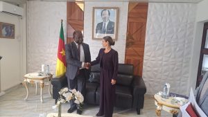 Cameroun UE
