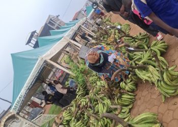 CAMEROUN/ »LA KERMESSE DES PRODUCTEURS EST UN SOCLE DE SECURITE ALIMENTAIRE AU CAMEROUN »,CYPRIEN BAMZOK NTOL ,ADMINISTRATEUR DE LA MIRAP
