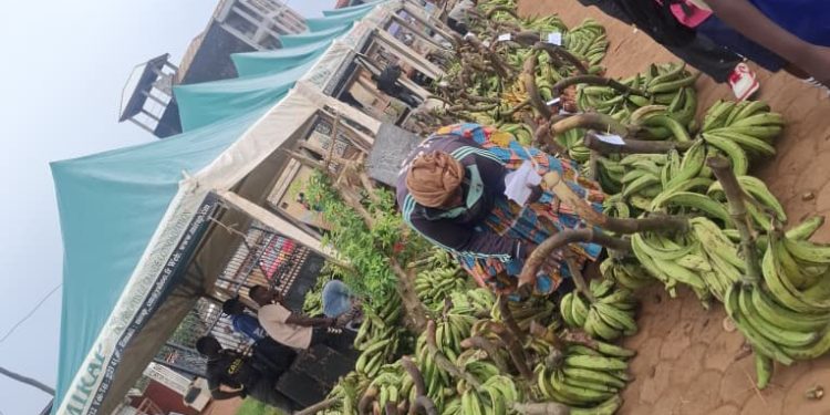CAMEROUN/ »LA KERMESSE DES PRODUCTEURS EST UN SOCLE DE SECURITE ALIMENTAIRE AU CAMEROUN »,CYPRIEN BAMZOK NTOL ,ADMINISTRATEUR DE LA MIRAP